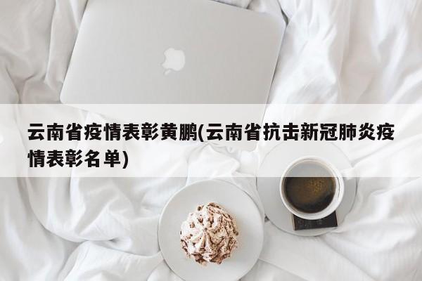 云南省疫情表彰黄鹏(云南省抗击新冠肺炎疫情表彰名单)