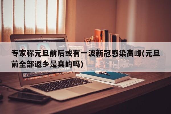 专家称元旦前后或有一波新冠感染高峰(元旦前全部返乡是真的吗)