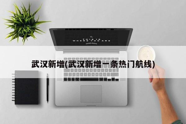 武汉新增(武汉新增一条热门航线)