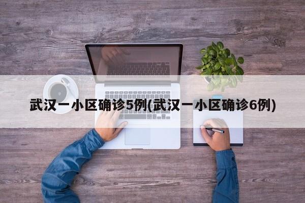 武汉一小区确诊5例(武汉一小区确诊6例)