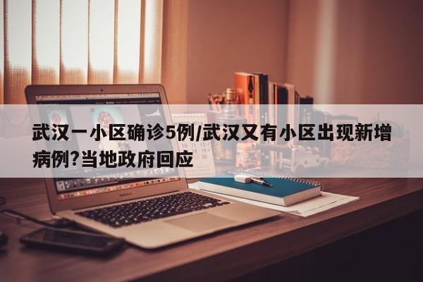 武汉一小区确诊5例/武汉又有小区出现新增病例?当地政府回应
