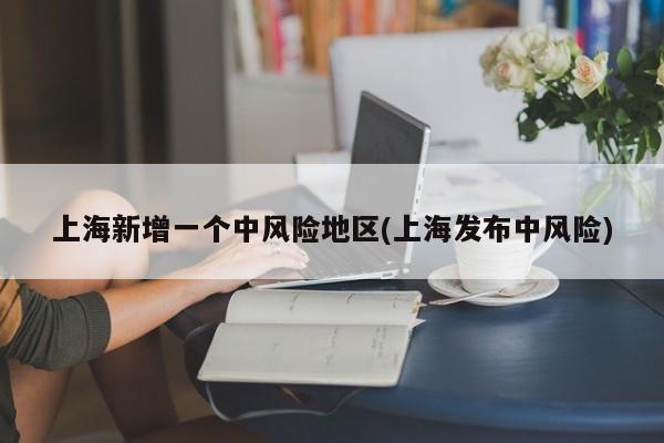 上海新增一个中风险地区(上海发布中风险)