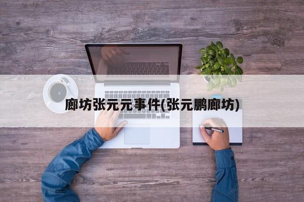 廊坊张元元事件(张元鹏廊坊)